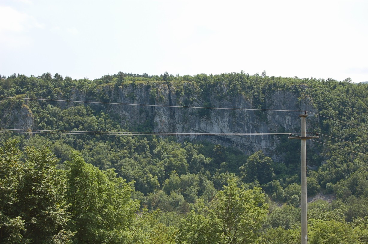 DSC_0235.JPG