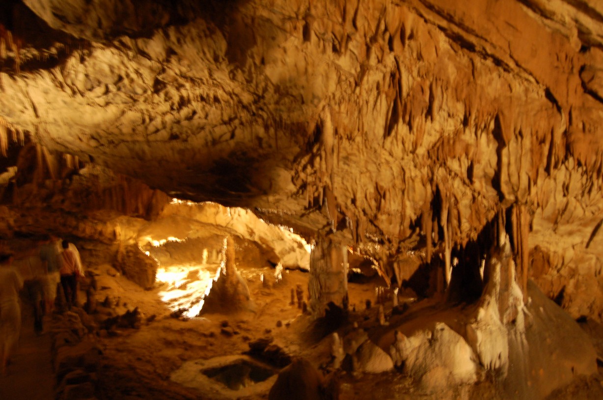 DSC_0244.JPG