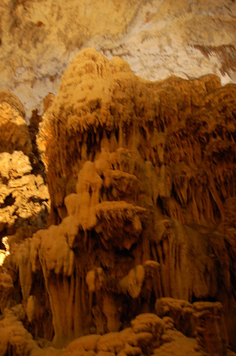 DSC_0252.JPG