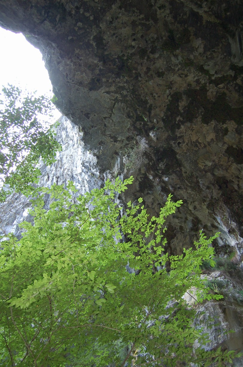 DSC_0301.JPG