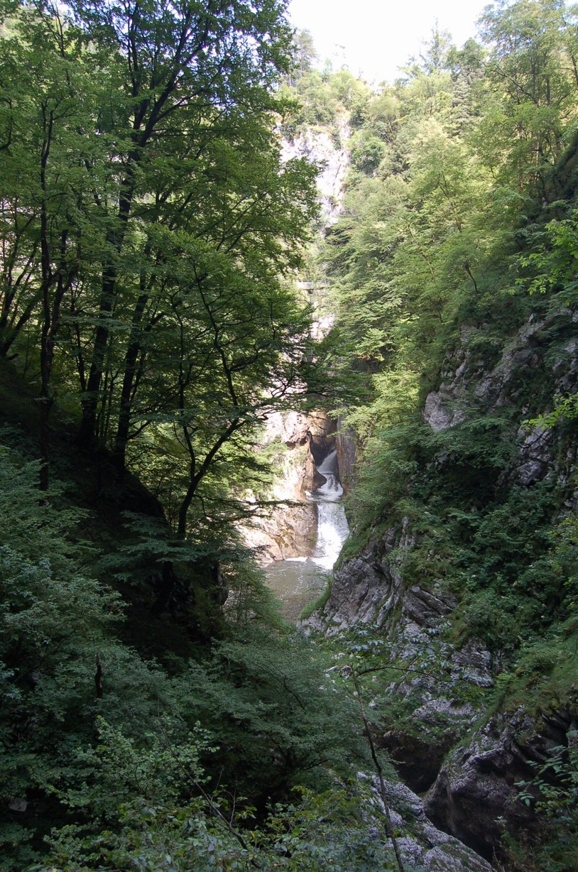 DSC_0311.JPG