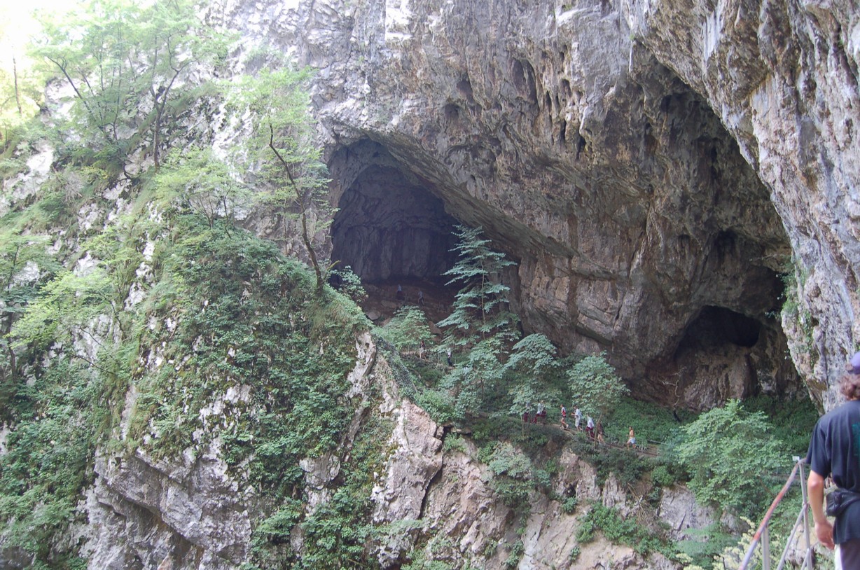 DSC_0312.JPG