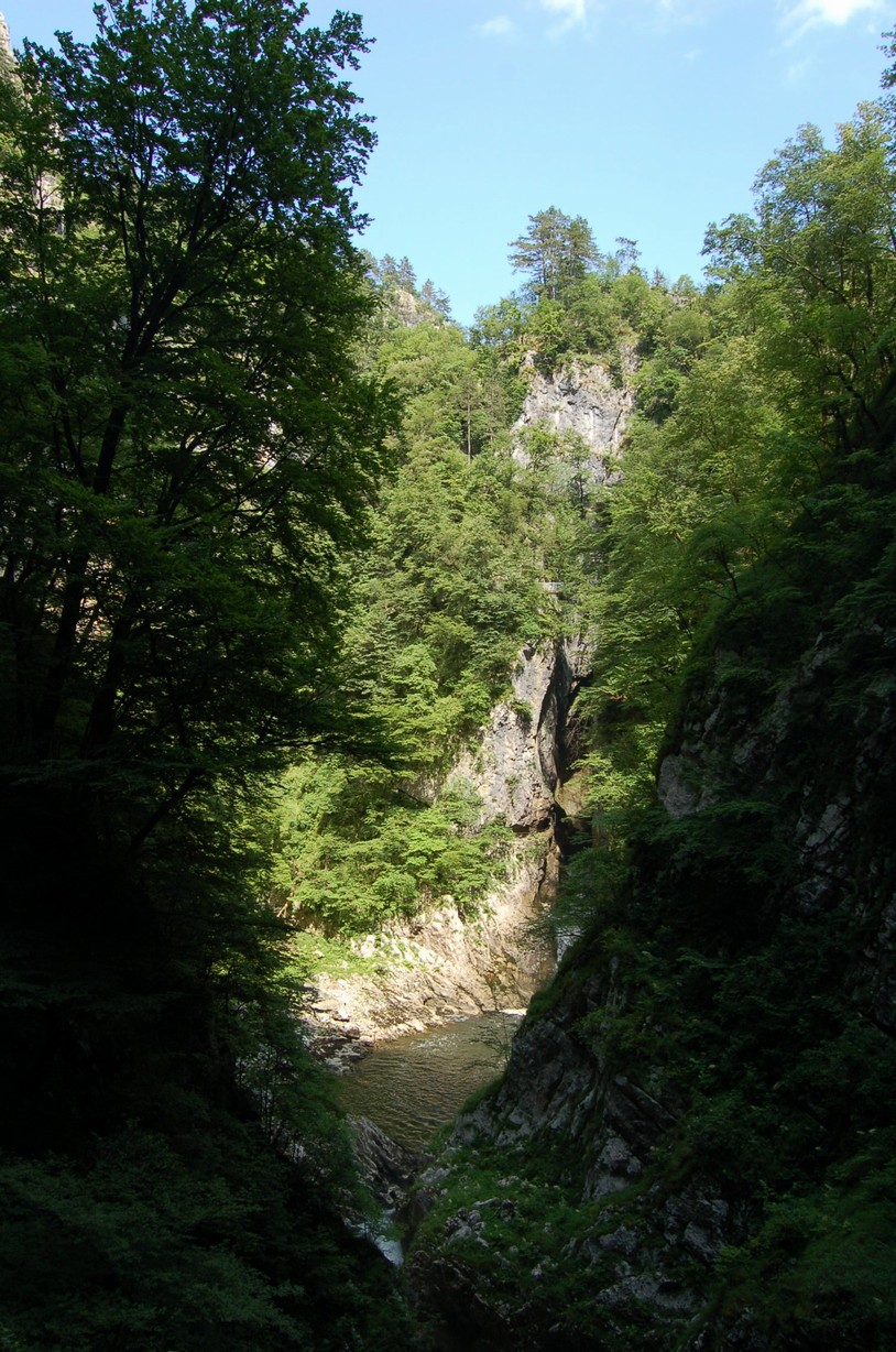 DSC_0313.JPG
