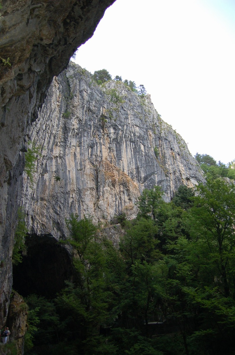 DSC_0315.JPG