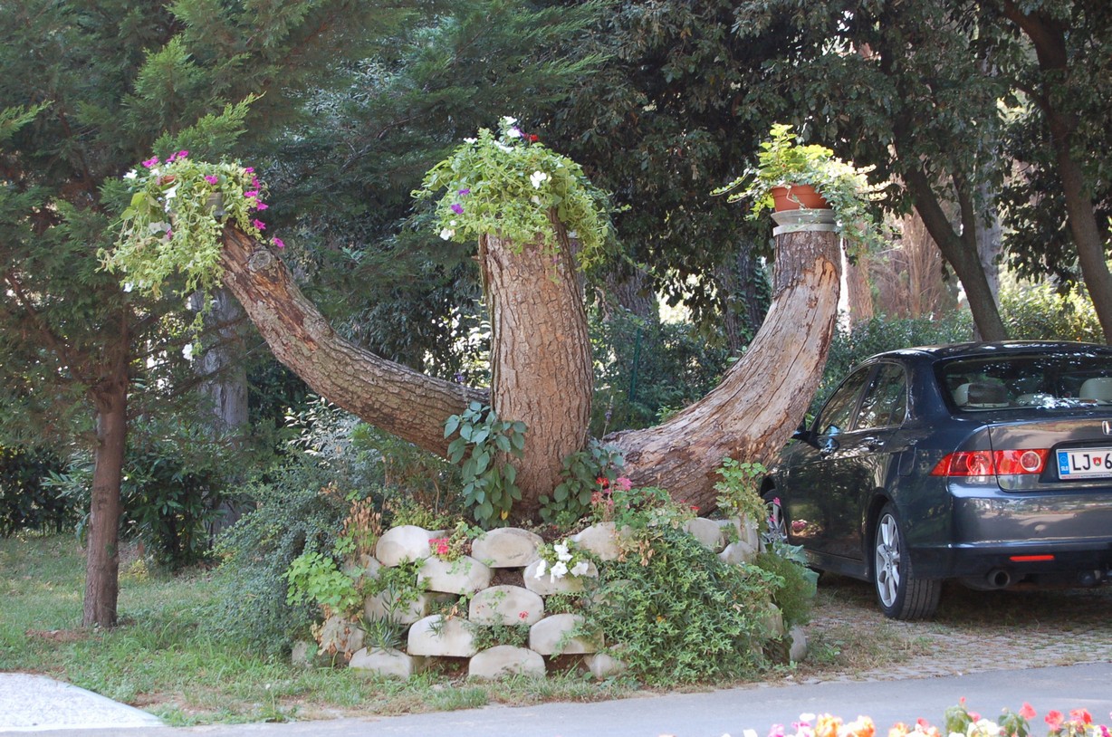 DSC_0484.JPG