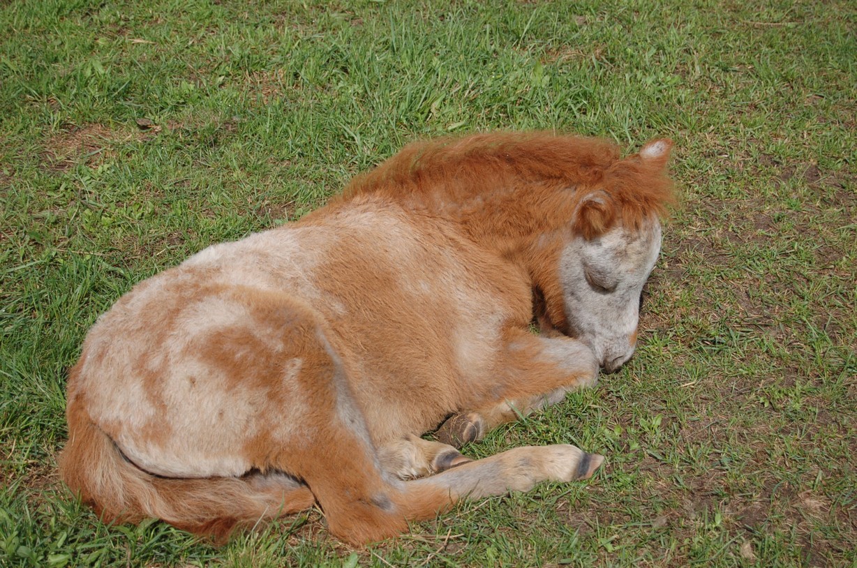 DSC_0788.JPG
